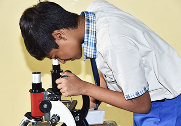 Alpha CBSE CIT nagar chennai - sustained learning and concept building open-ended projects